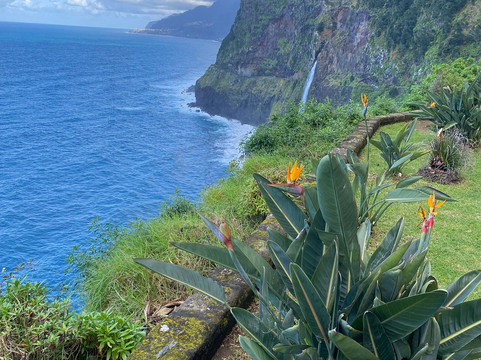Madeira Travel Taxi Nuno Gomes-沙尔必去景点