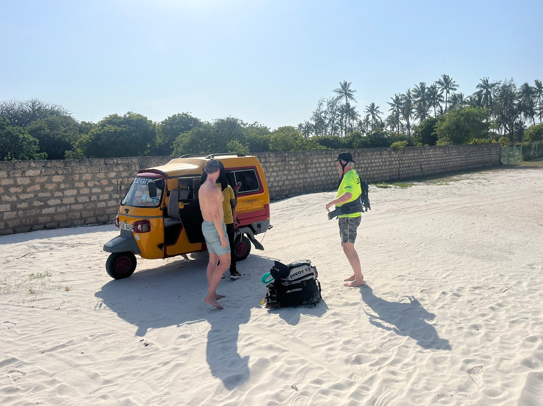 Surfari Afrika-迪亚尼必去景点