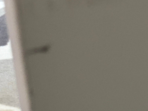 十五号精品酒店主图