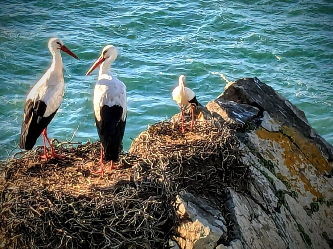 Herdade do Touril主图