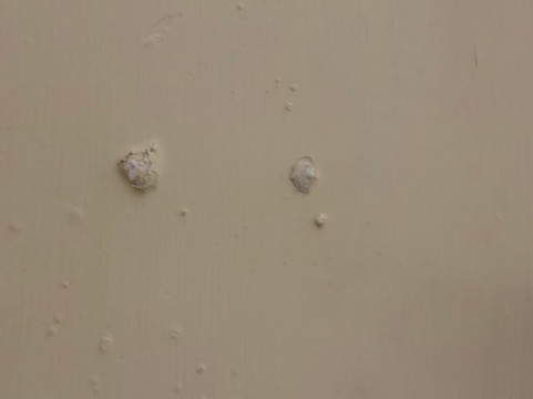 加尔各答无与伦比酒店主图