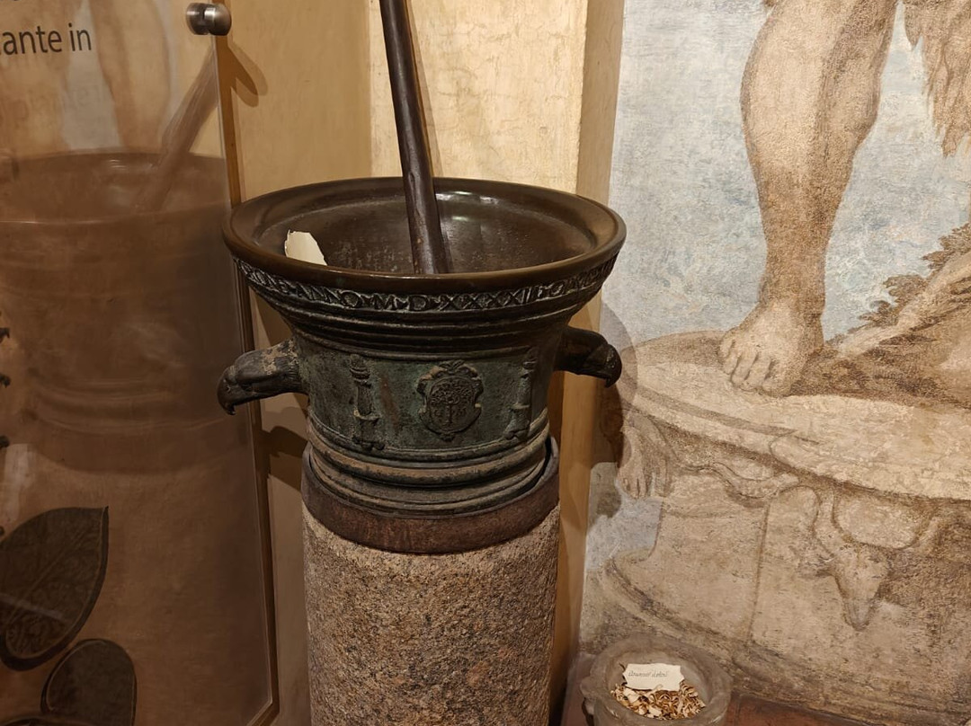 Aboca Museum景点图片