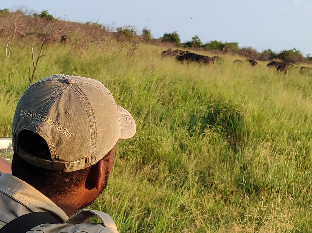 Bayala Private Safari Lodges主图