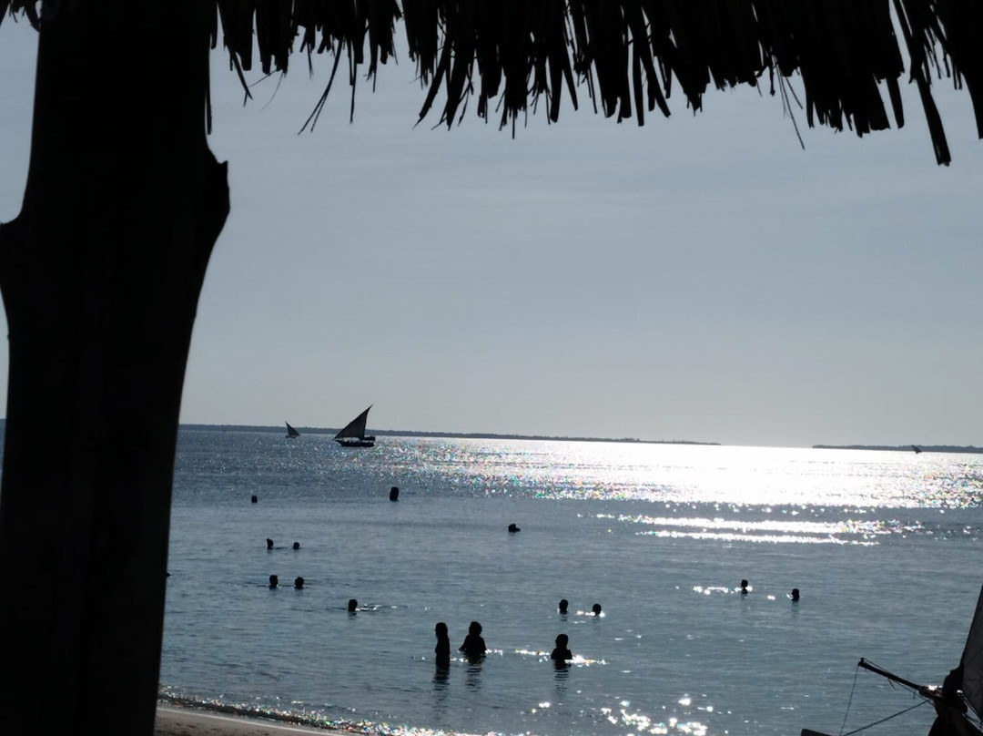 Kiwengwa zanzibar-基万嘎必去景点