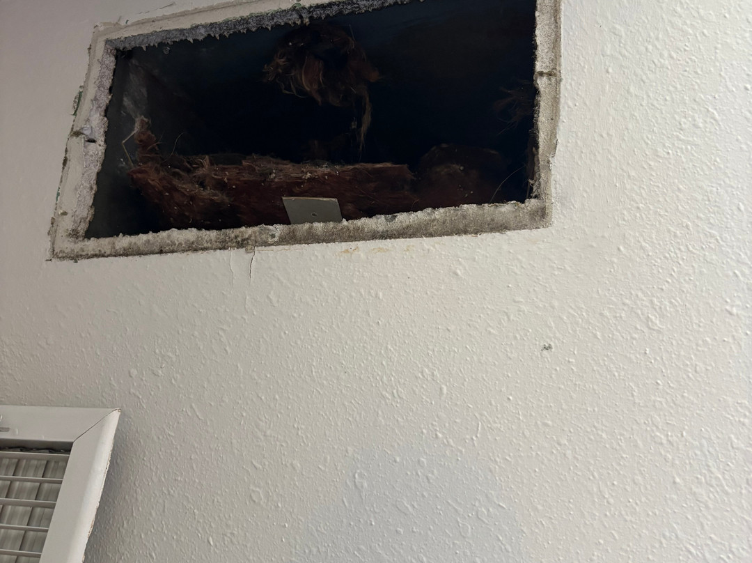 Howard Johnson by Wyndham Tifton主图