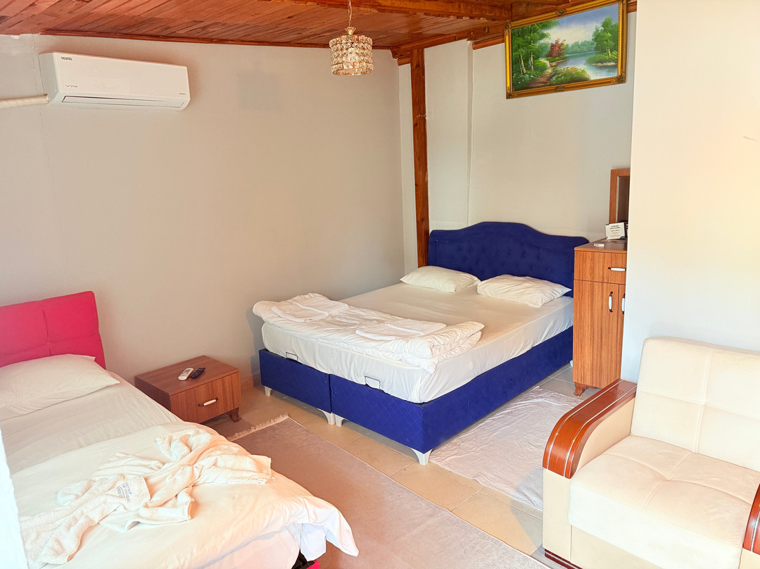 Oz Butik Otel Antik Kent Myrleia主图