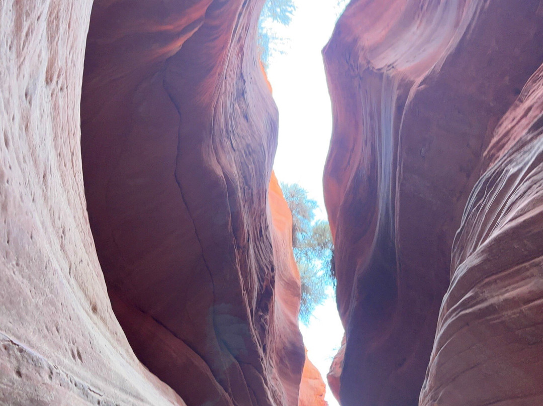 Beyond Zion ATV Tours & Rentals-Mount Carmel必去景点