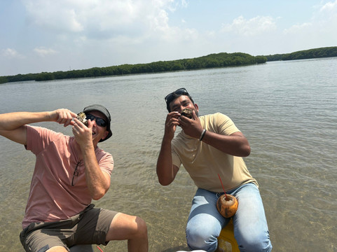 Blue Lion Srilanka Tours-埃勒必去景点