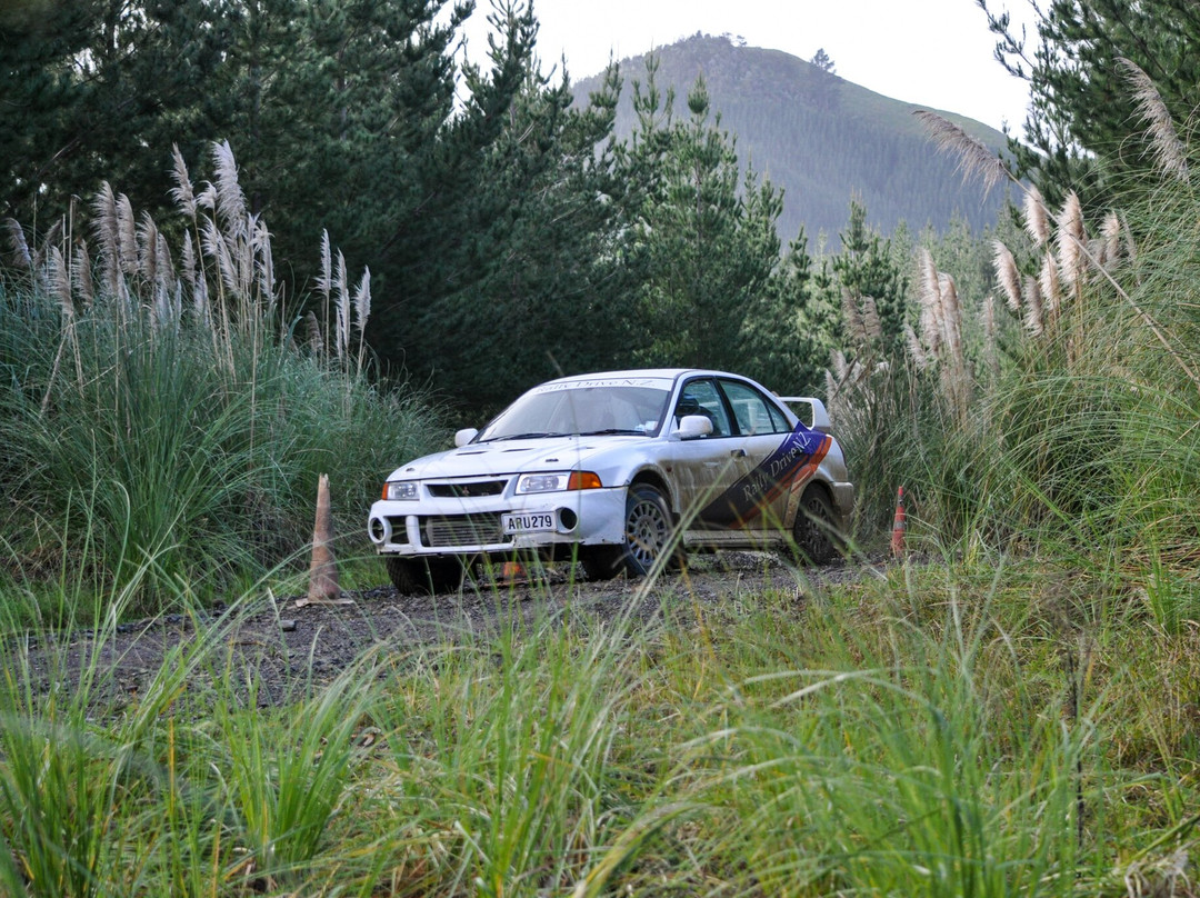 Rally Drive NZ-汉密尔顿必去景点