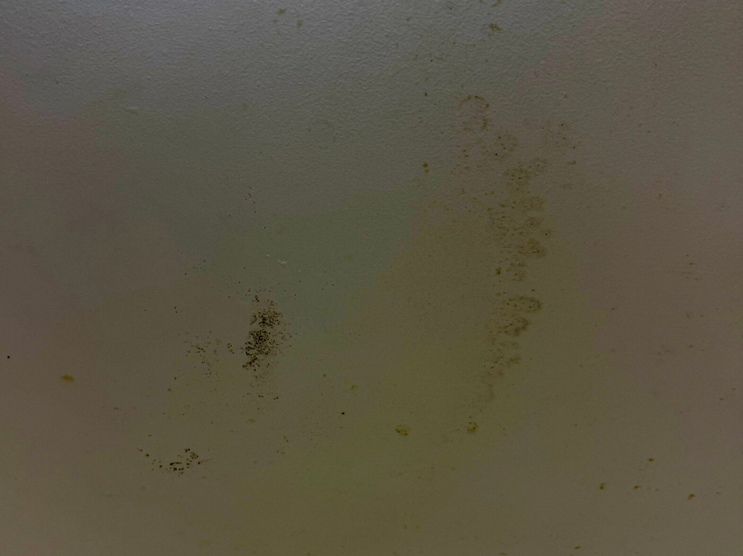 Hampton Inn Savannah-i-95 North主图