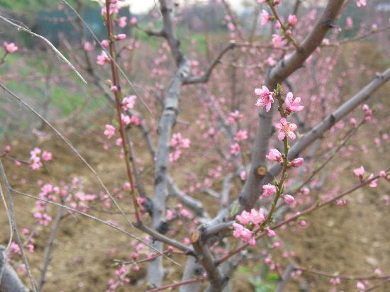 Cascina La Gioia主图