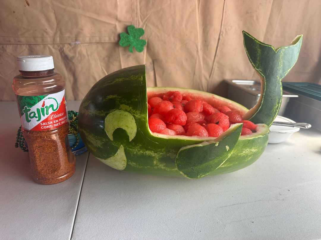 San Ignacio Lagoon-下加利福尼亚州必去景点