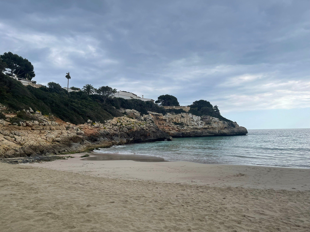 Cala Anguila-马纳科尔必去景点