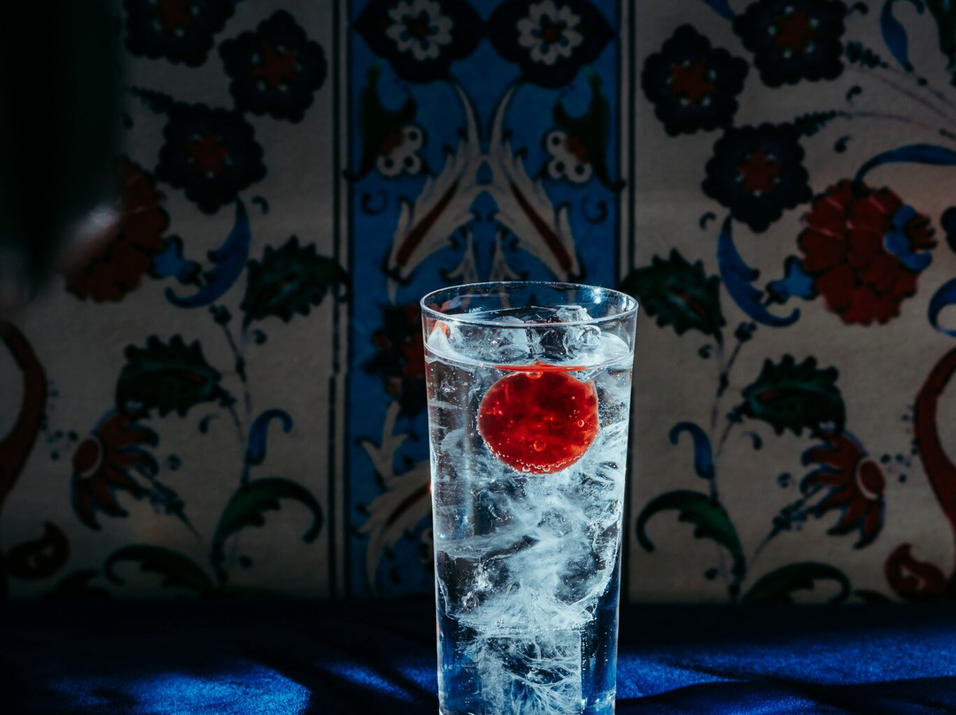 Upupa Epops The Bar景点图片