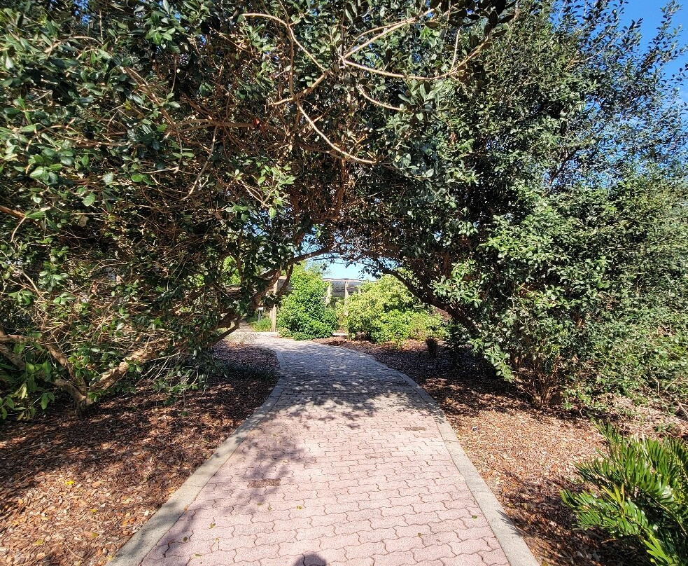 Discovery Gardens景点图片
