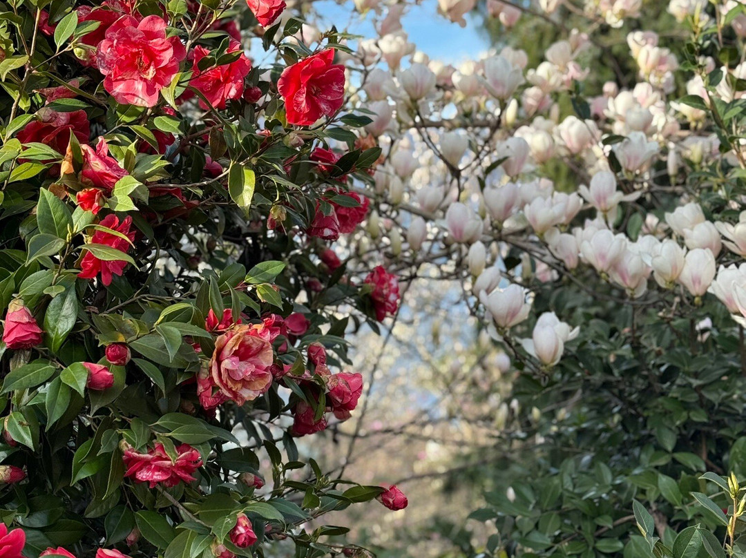 Parco Botanico del Gambaragno-San Nazzaro必去景点