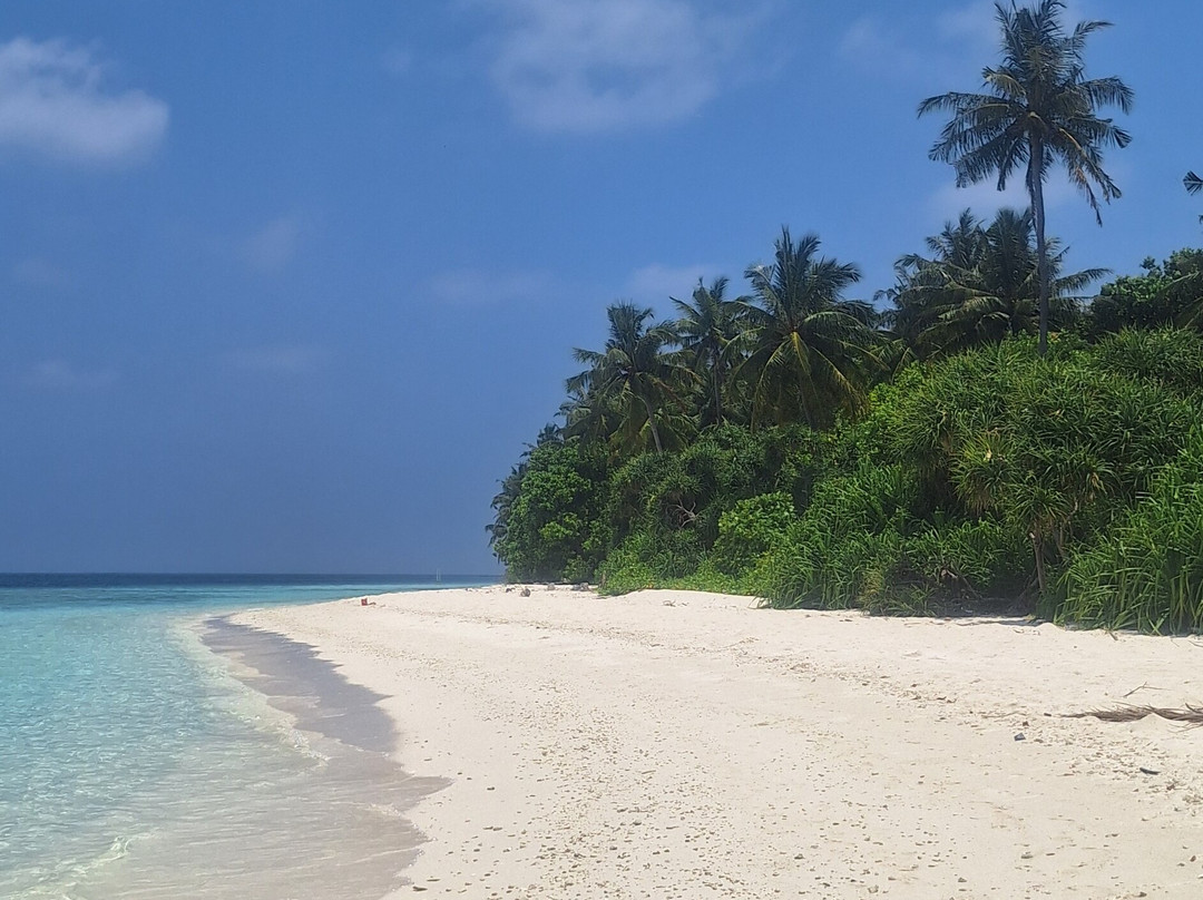 Local Travel Beach主图