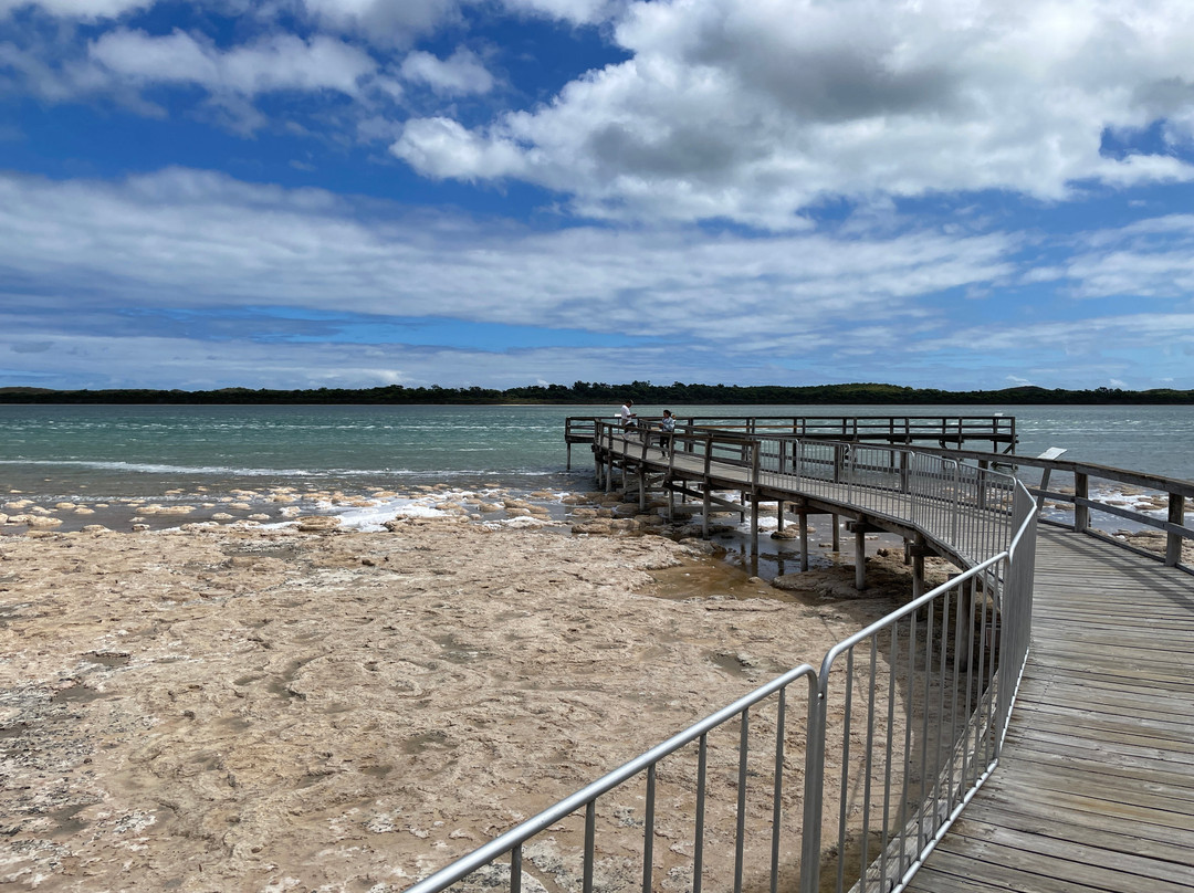 Thrombolites of Lake Clifton景点图片