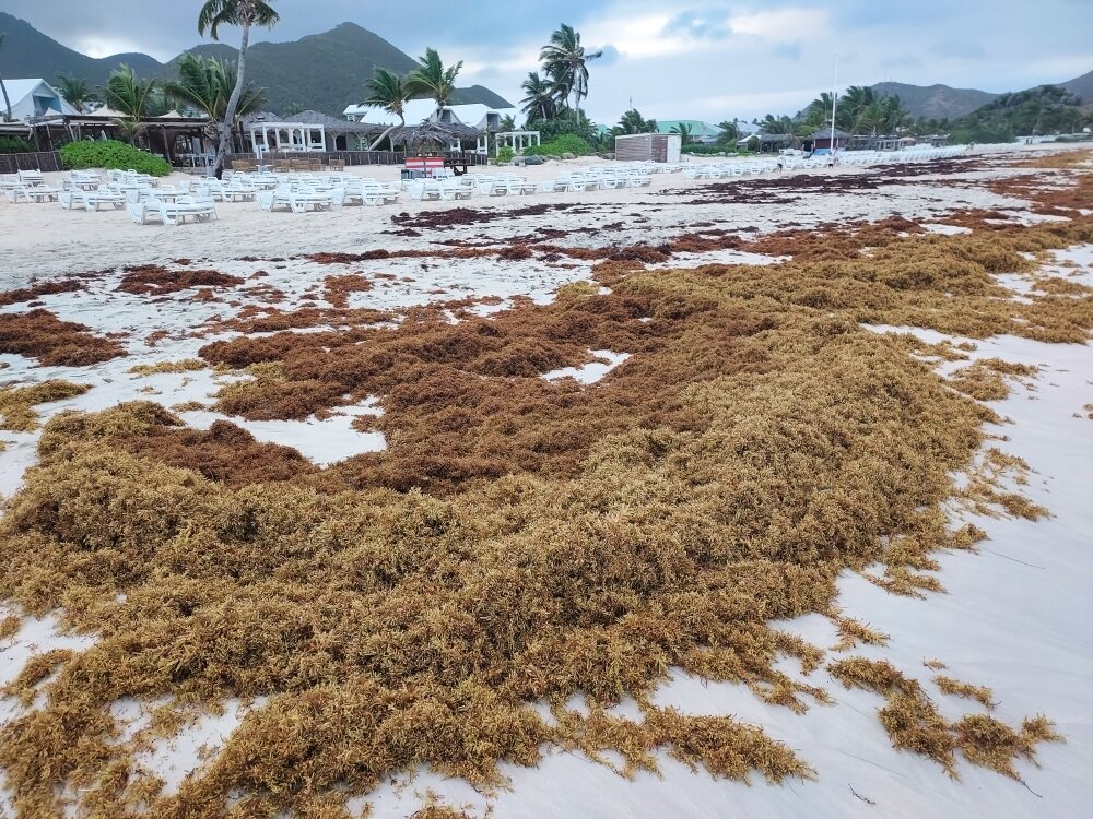 La Playa Orient Bay-泳池