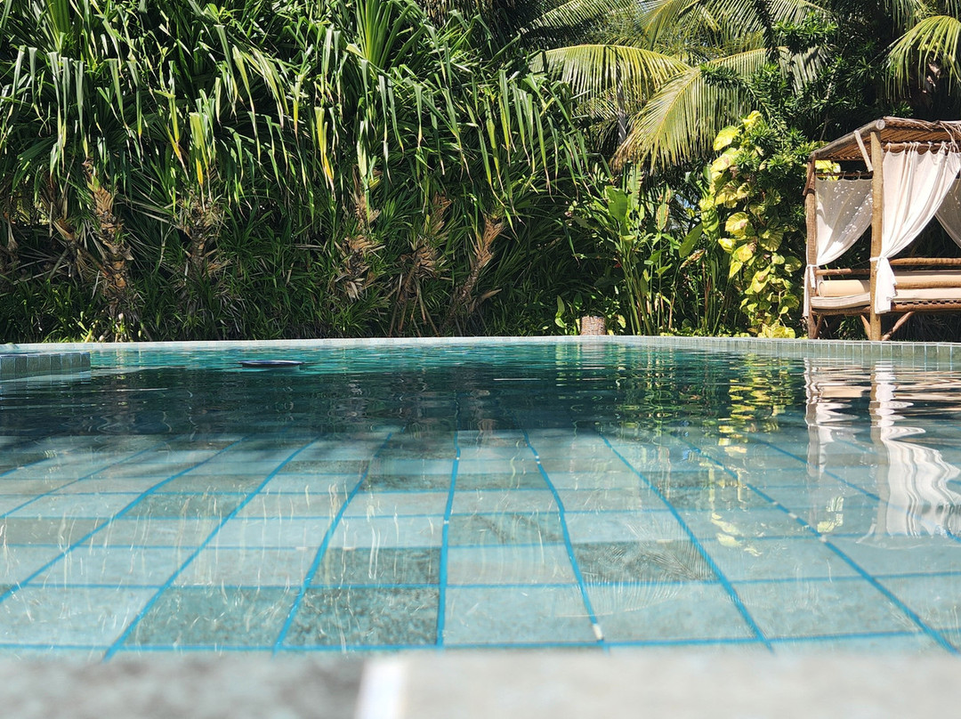 Ocacocar - Milagres主图