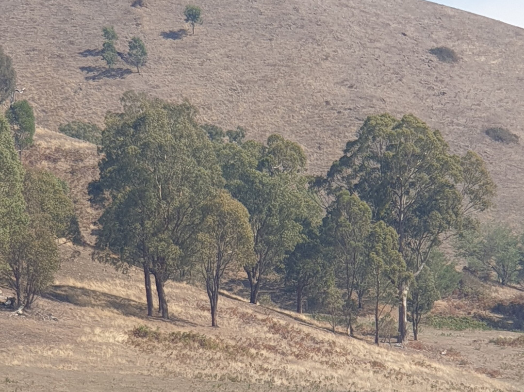 The Village Green主图