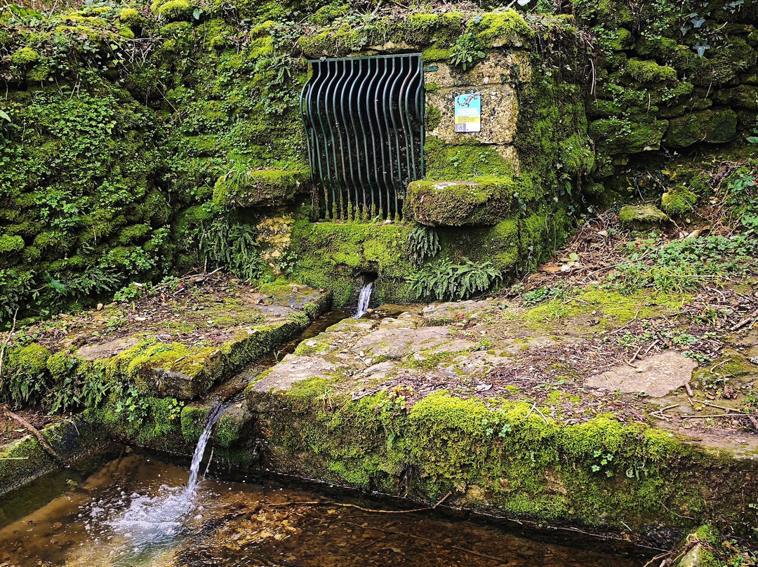 Lavoir De Trousse Chemise景点图片