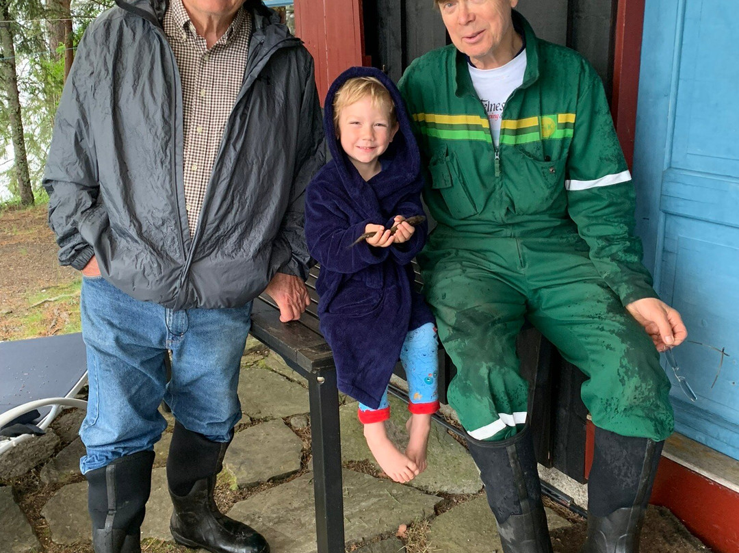 Telnessanden Camping og Friluftsenter主图