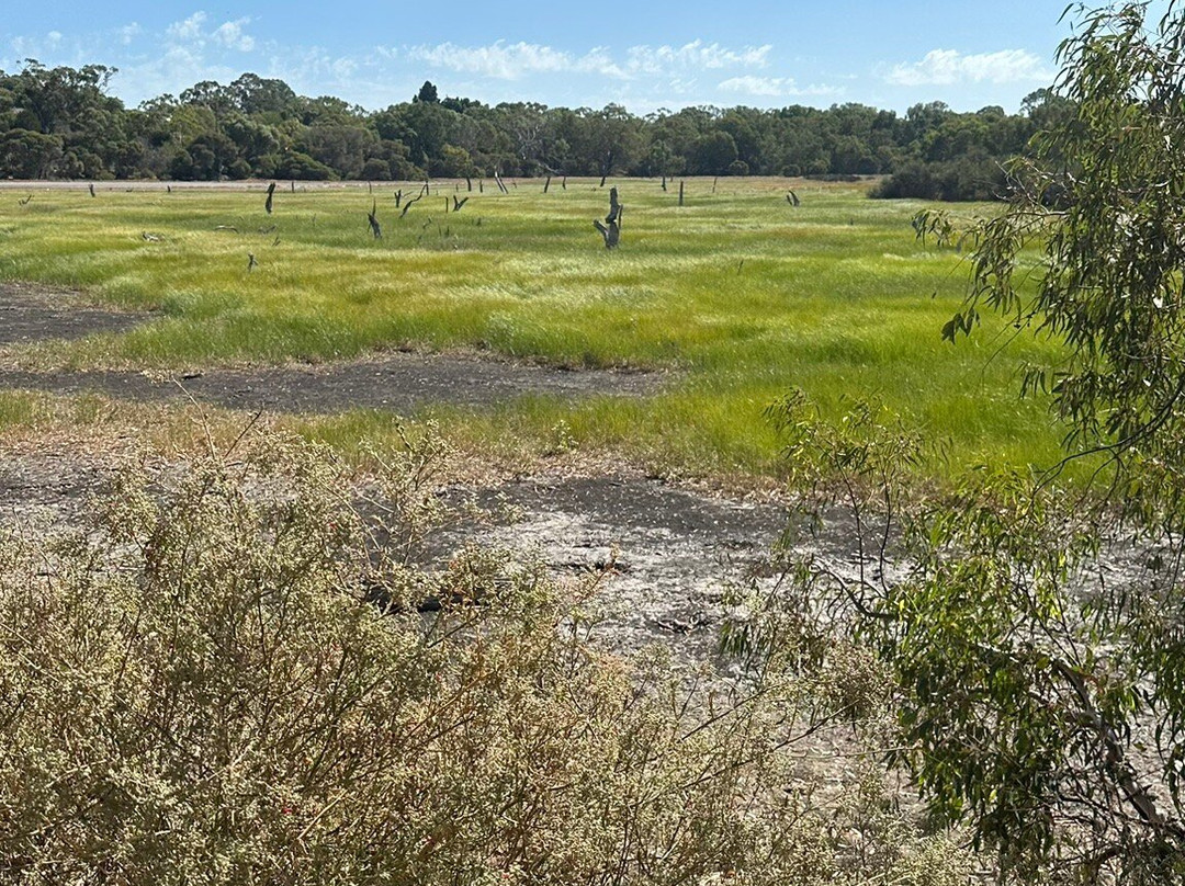 Lake Claremont-Claremont必去景点