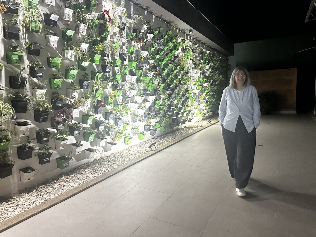 Biohotel Organic Suites主图