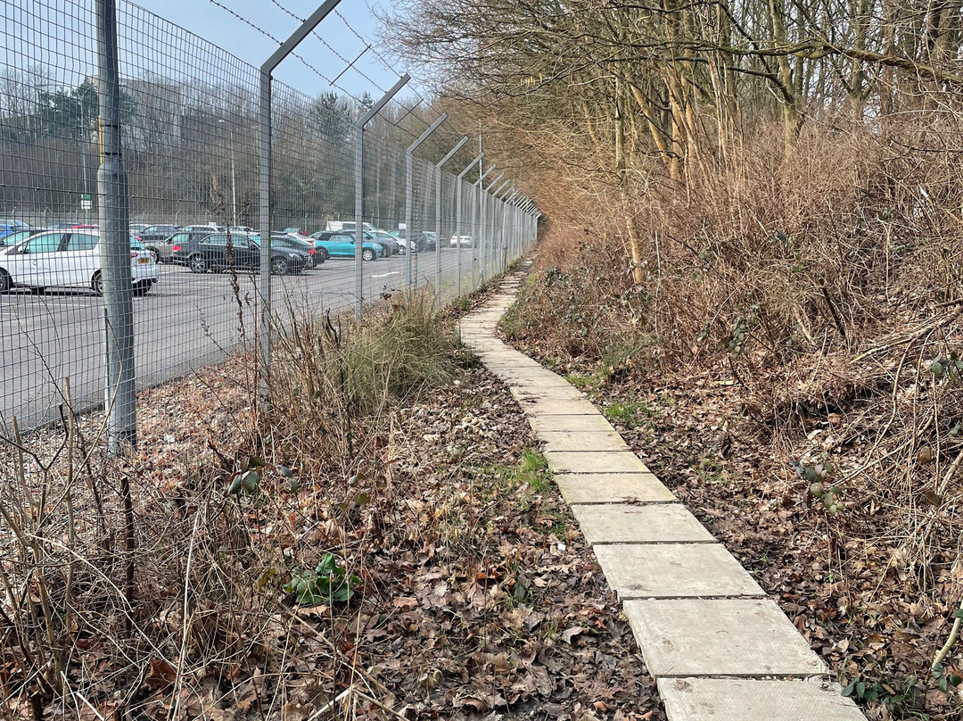 Travelodge Gatwick Airport Central主图