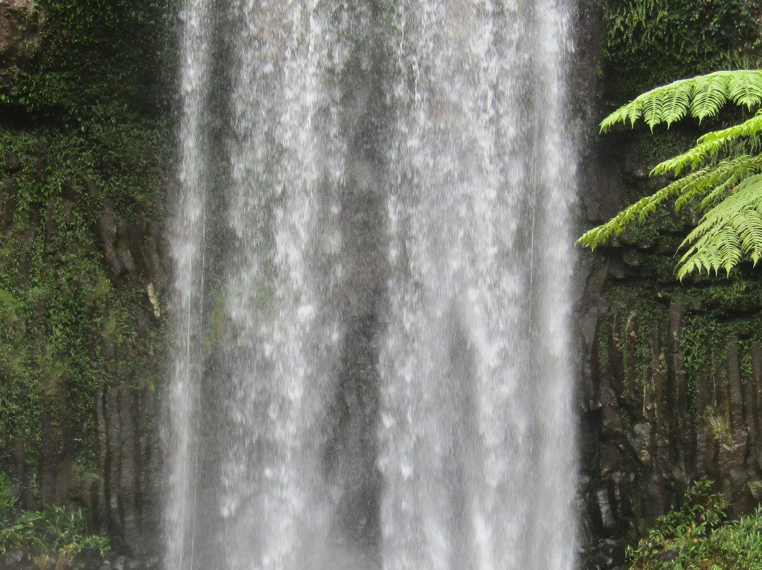 Cairns Canyoning景点图片