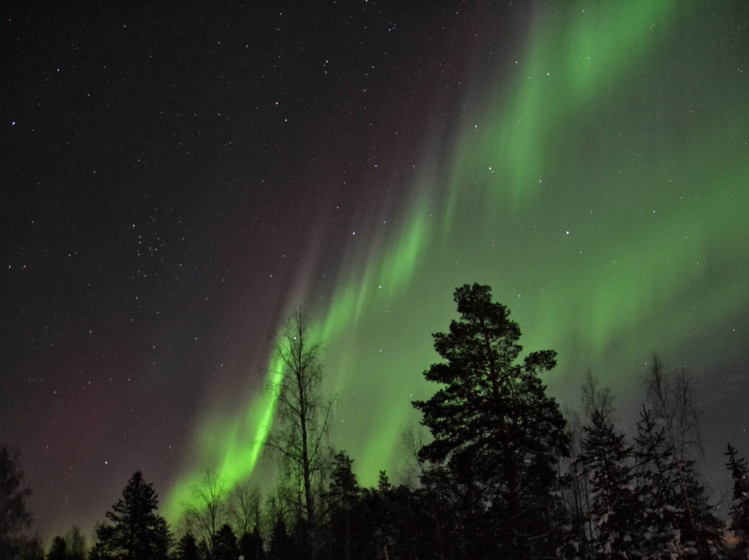 EXP Norrland-Vidsel必去景点