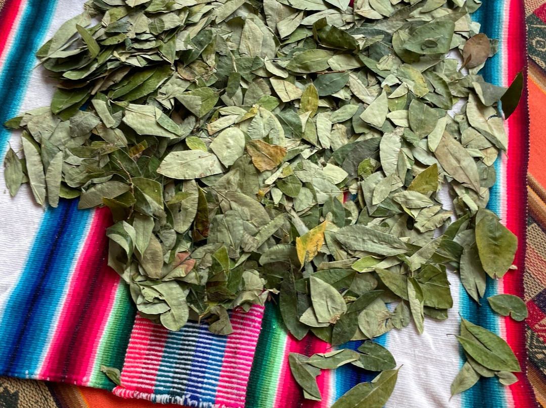 Kollasuyo Travel - One Day Tours-普诺大区必去景点