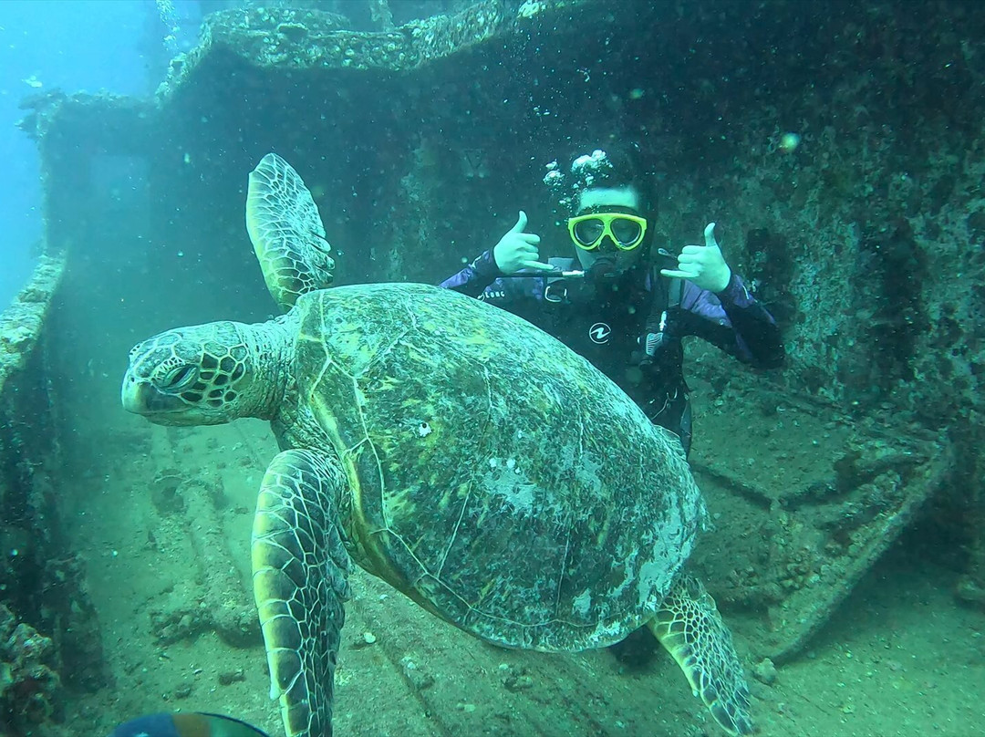Sunshine Scuba-火奴鲁鲁必去景点