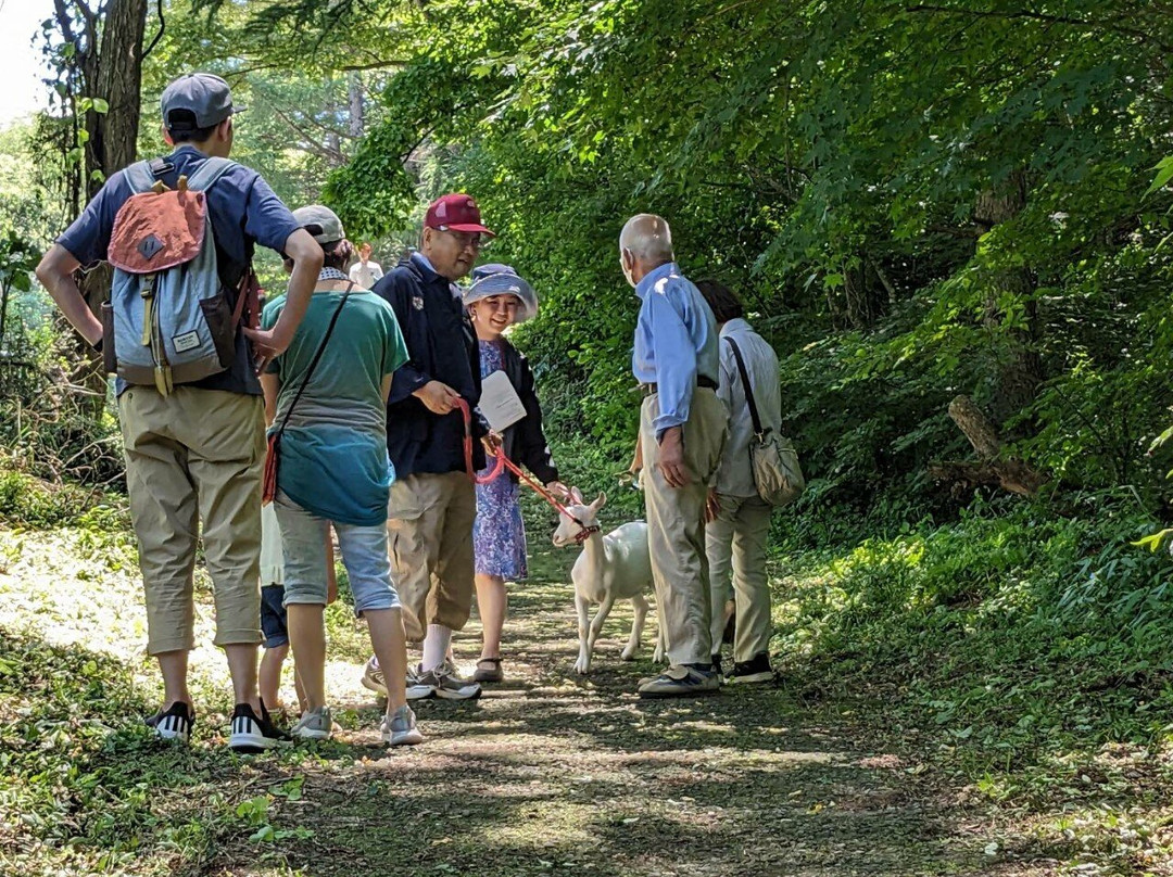 Korifuketsu-小诸市必去景点