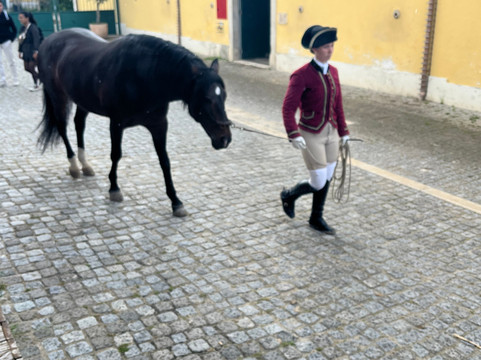 A Escola Portuguesa de Arte Equestre-里斯本必去景点