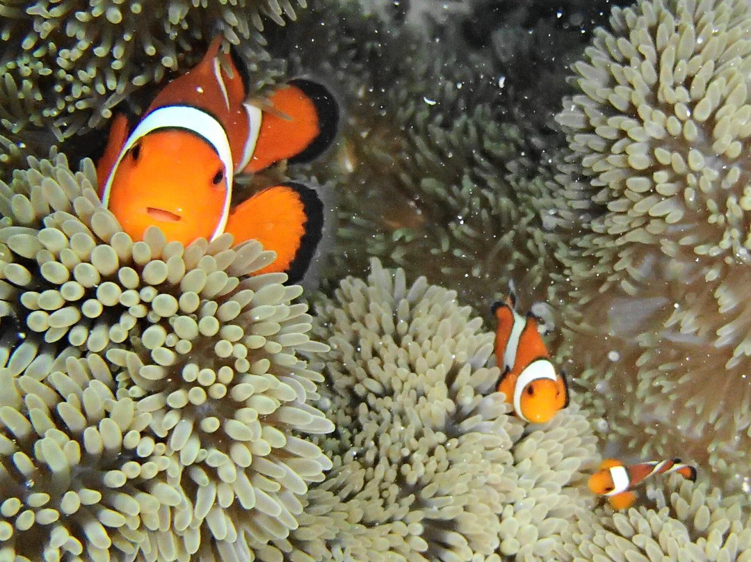 Shigira Beach-宫古岛市必去景点