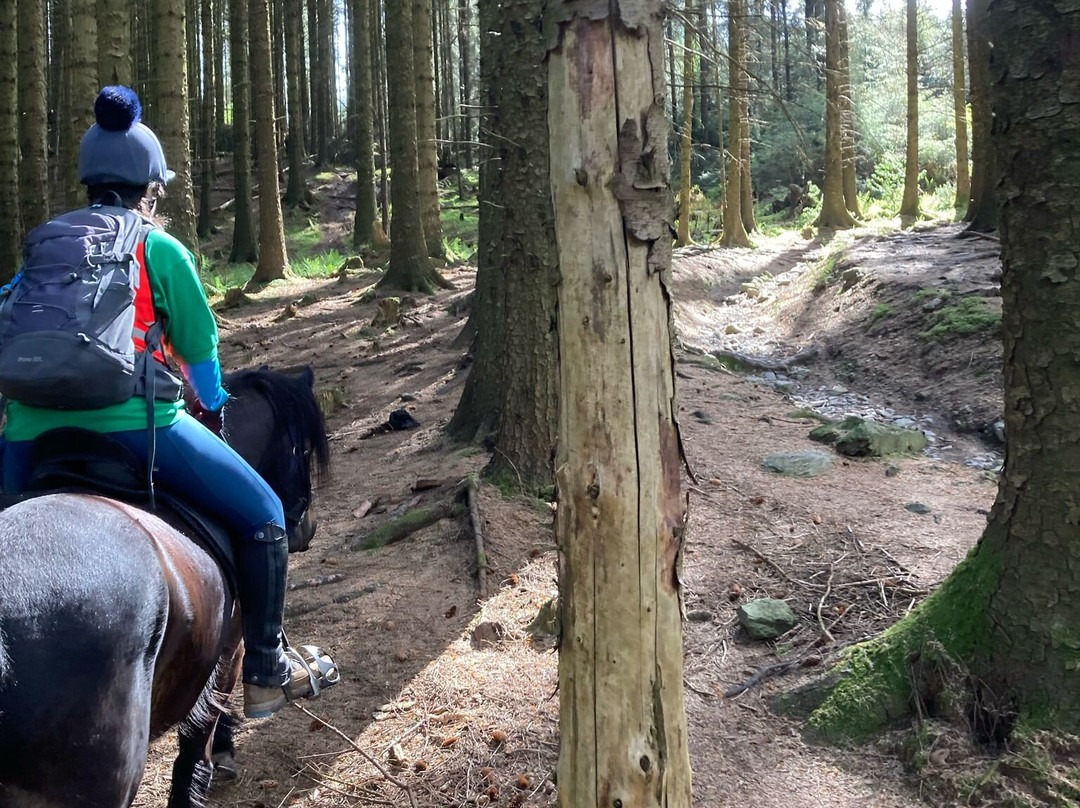 Fell Pony Adventures景点图片