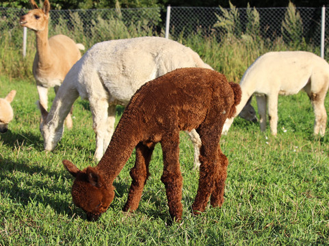 Guidance Dmc-赫尔辛基必去景点