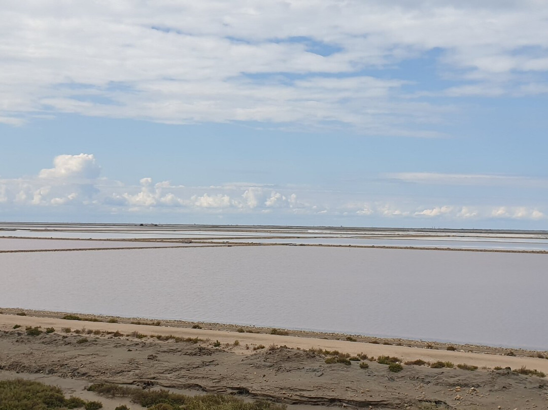 Salt Pan Observation Mound-Salin de Giraud必去景点
