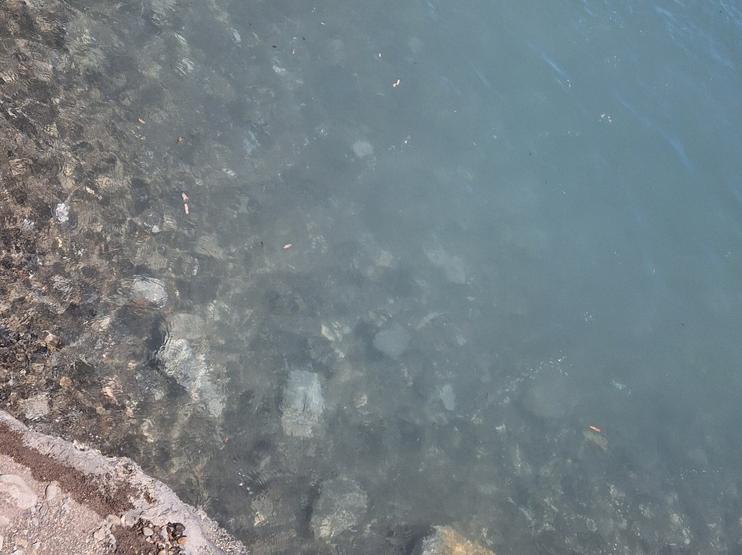 Thermal Springs of Kos-Agios Fokas必去景点