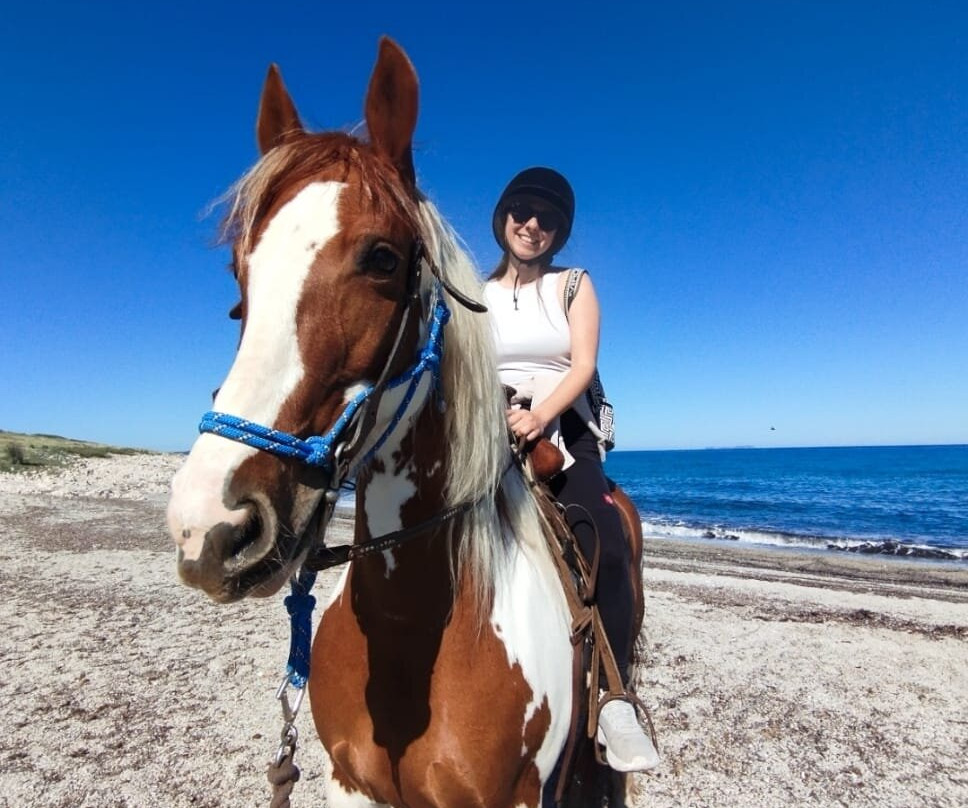 North Corfu Horses-Peritheia必去景点