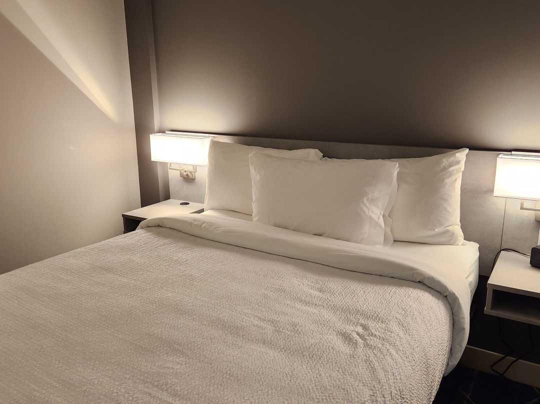 Microtel Inn & Suites by Wyndham Dorval主图