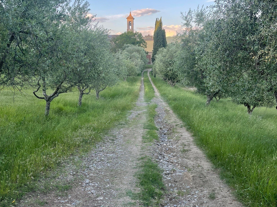 Pieve Aldina Relais & Chateaux主图
