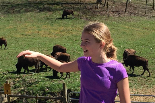 Buffalo Creek Vacation