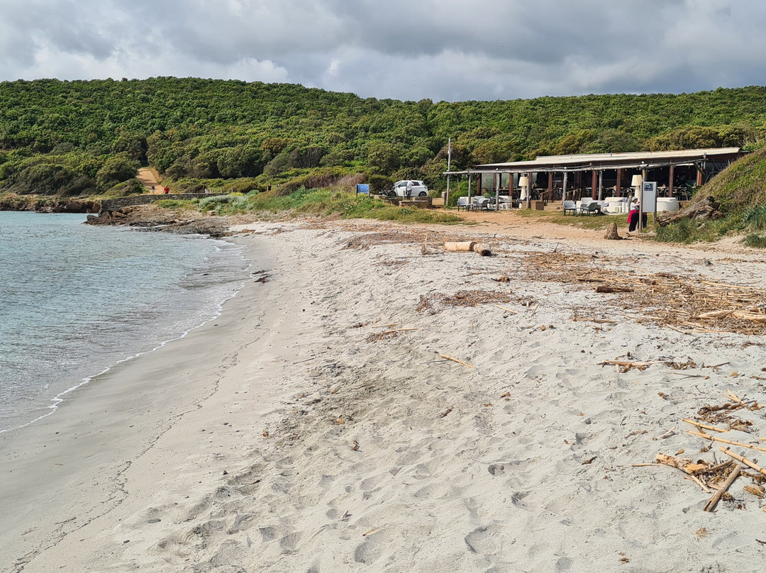 Plage de Tamarone-Rogliano必去景点
