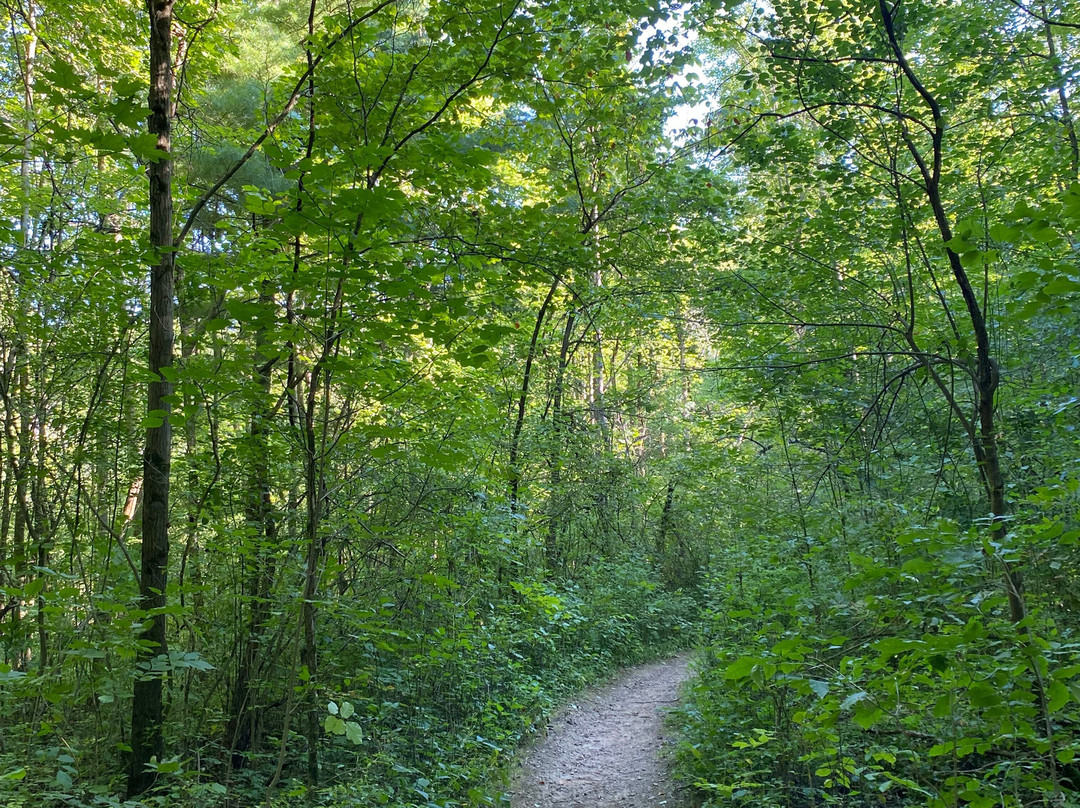 Mill Stream Run Reservation-克利夫兰必去景点