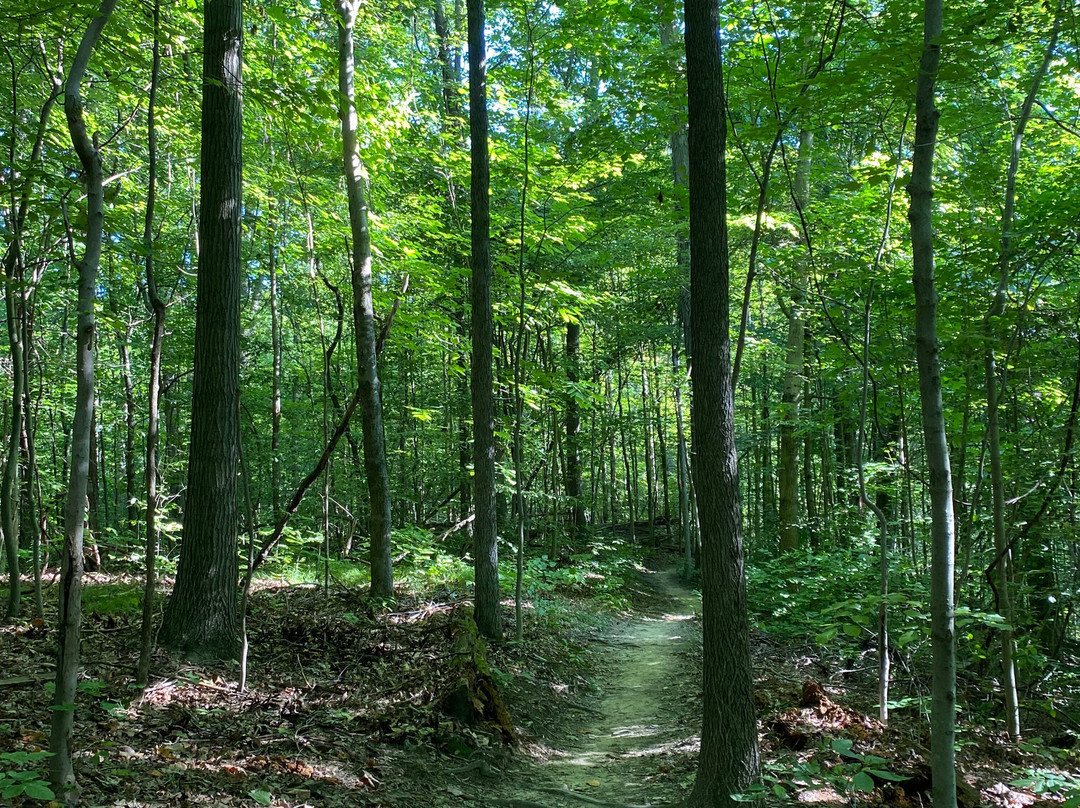 Mill Stream Run Reservation-克利夫兰必去景点