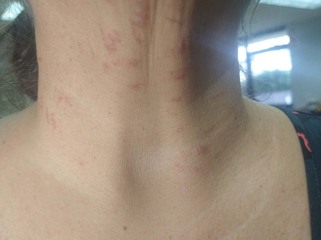 Time 4 You-种植园必去景点