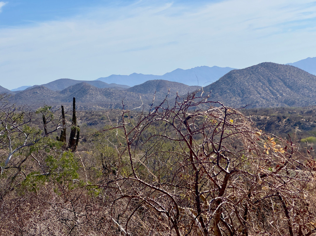 Rancho Cacachilas-El Sargento必去景点